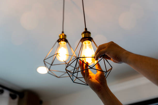 Best Electrician for Home Renovation  in Belvidere, NJ